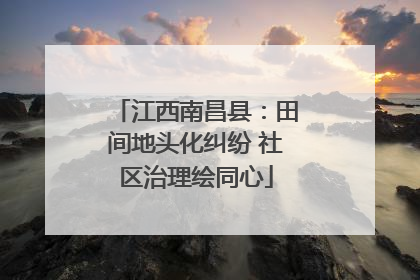 江西南昌县：田间地头化纠纷 社区治理绘同心